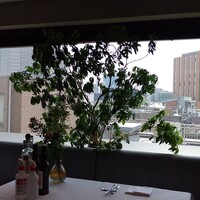 KINOE - ウェスティン