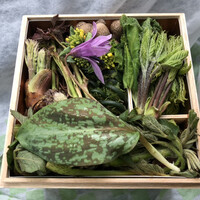 出羽屋 -  出羽屋 -