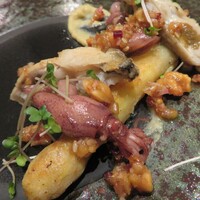 フィエルテ - 明日パラ？