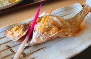 Isaribi Kikuya - 本日はハチメ！ふわふわプリッと美味しいです