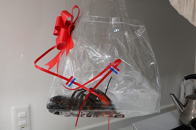 Ebi Baru orb Ura Sando