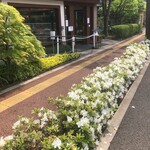 ウエスト青山ガーデン - 入口に消毒液も完備。距離を開けて並びましょう