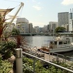 T.Y.HARBOR - Canal☆