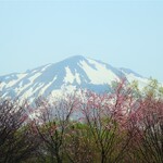 白神飯店 - オマケ・お岩木山デス