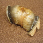 寿司つばさ - 穴子