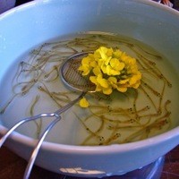 飴源 - 白魚のおどり２