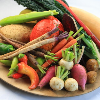 ルコラステーションの野菜