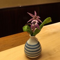 本湖月 -  本湖月 -