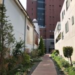 八百屋カフェ わがきん - 