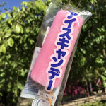 佐川末廣堂 - アイスキャンデー(パッケージ入りの状態)