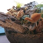 アンオー - 店内小物