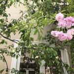 ソンブルイユ TOKYO - テラスも案内してくれました