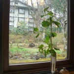 万平ホテル メインダイニングルーム - 2008年４月テーブル花