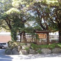 イル・テアトロ - 椿山荘