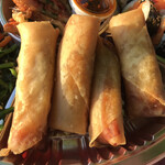 ウリソロ - 春巻き（4本）