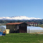 田代食堂 - 駐車場からの風景。月山が綺麗。天気も最高に良い日だ。