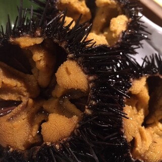 旬房 街道 青葉_1