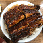 田代 - うな丼並(ごはん大盛り)