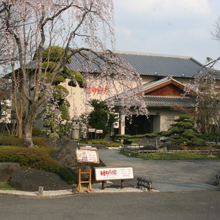 四季折々に変化する日本庭園に囲まれ、落ち着いた雰囲気のお店です。