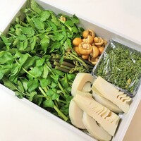 比良山荘 - 花山椒、筍、茸、蕨、セリ、クレソン、麩などがびっしり、