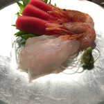 江差 旅庭 群来 - 