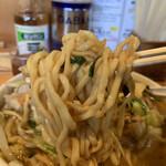 一発ラーメン はしご屋 - 極太麺