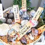 KAKIYA シェル＆シュリンプ - 