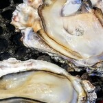 KAKIYA シェル＆シュリンプ - 