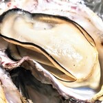 KAKIYA シェル＆シュリンプ - 