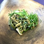 プレゼンテ スギ - 蕗を練り込んだパスタ パクチーと鬼胡桃とゼンマイのジェノベーゼ風