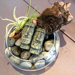 プレゼンテ スギ - 食べられなさそうで食べられる