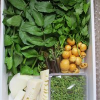 比良山荘 - 山菜、キノコ、筍、花山椒