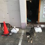 ピッザピッザピッザ - 