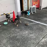 ピッザピッザピッザ - 