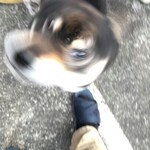 ピッザピッザピッザ - 