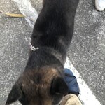 ピッザピッザピッザ - 