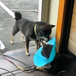 ピッザピッザピッザ - 