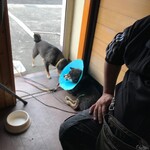 ピッザピッザピッザ - 