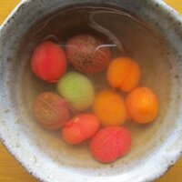 レンゲ - ファーム輝のカラフルトマトのコンポート