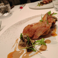 ジョンティ アッシュ - 