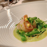 ジョンティ アッシュ - 