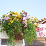 ケープコッド・クックオフ - （2012/4月）