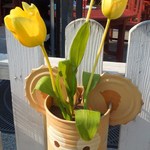 ケープコッド・クックオフ - （2012/4月）