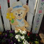 ケープコッド・クックオフ - （2012/4月）