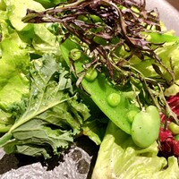 ワカヌイ グリル ダイニング バー 東京 - 