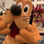 Hong Kong Disneyland Hotel - 夜はプルートとダンス
            2019/6 by みぃこのごはん日記
