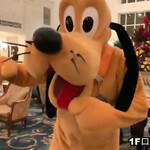 Hong Kong Disneyland Hotel - 夜はプルートとダンス
      2019/6 by みぃこのごはん日記