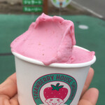 しずの苺園 直売所 - いちごソルベ