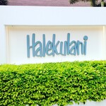 Orchids - この後、改装になりました