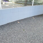 ラーメン二郎 - ソーシャルディスタンス